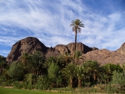 la nature de ouarzazat